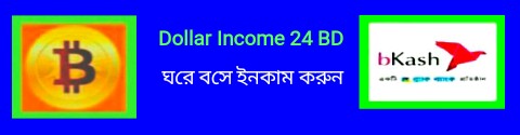 Dollar Income 24 BD