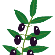オリーブの実と葉のイラスト