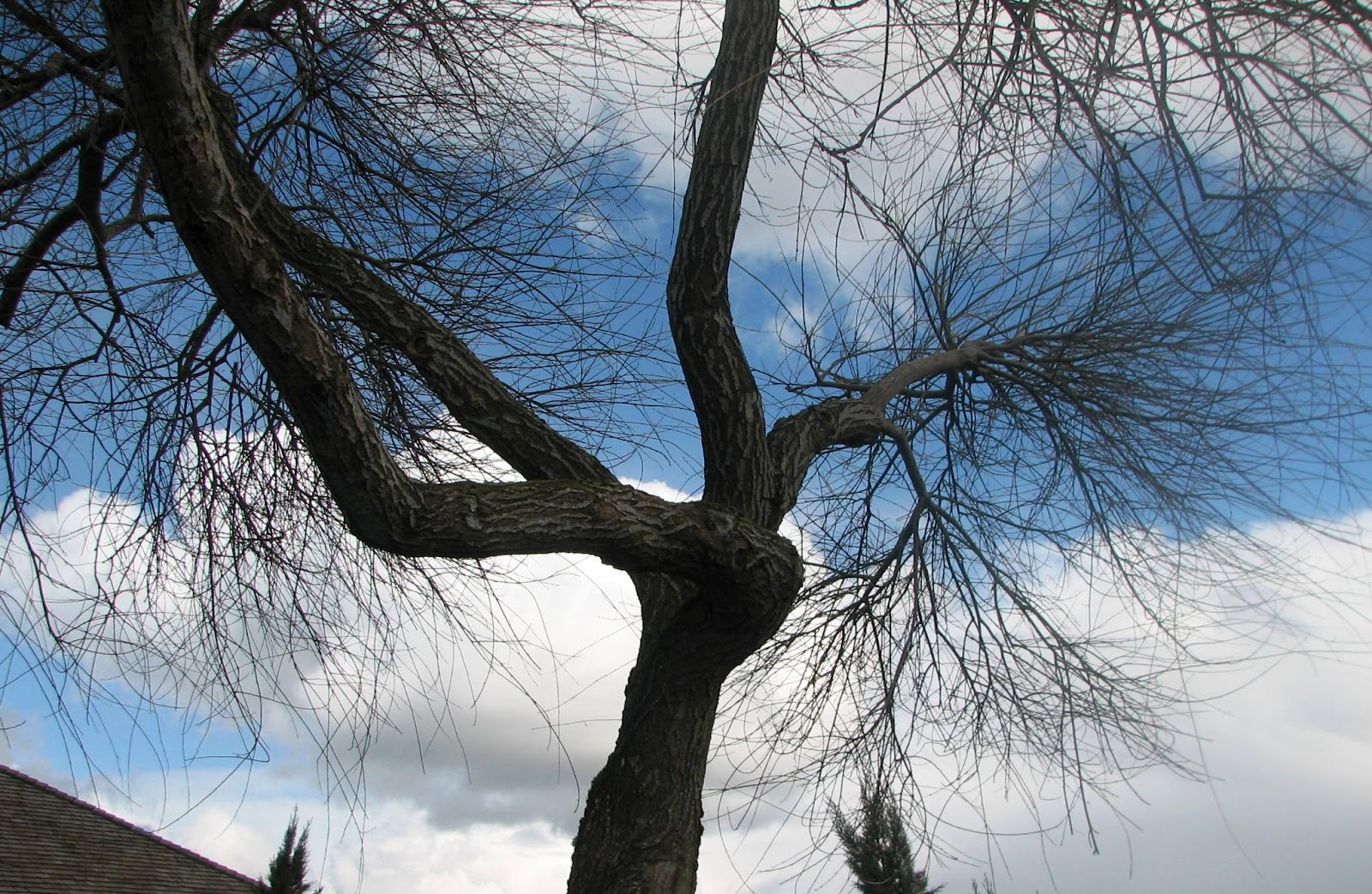 Even trees will clap their hands something to think about