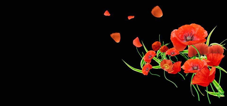 http://2.bp.blogspot.com/-wmk6ryqZi3Q/VRSHSDbJTqI/AAAAAAAAXyU/GDVkD-8YBIE/s1600/amapolas%2Bfondo%2Bnegro.jpg