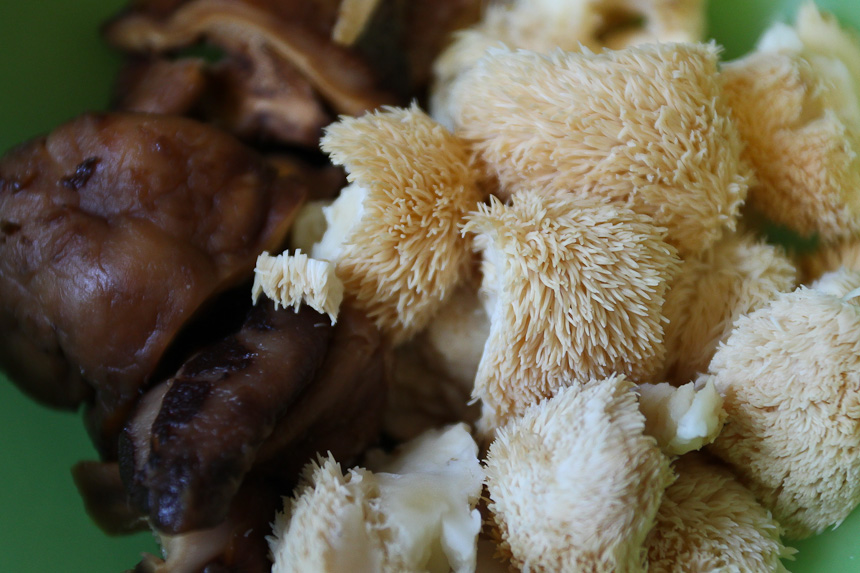 In the Sky My cooking 猴頭菇冬菇鯊魚骨紅蘿白煲豬𦟌 Monkey head