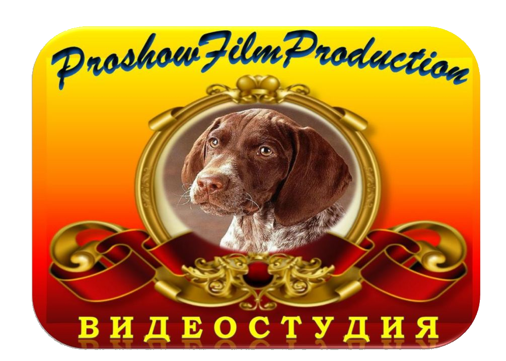 Студия ProShowFilmProduction