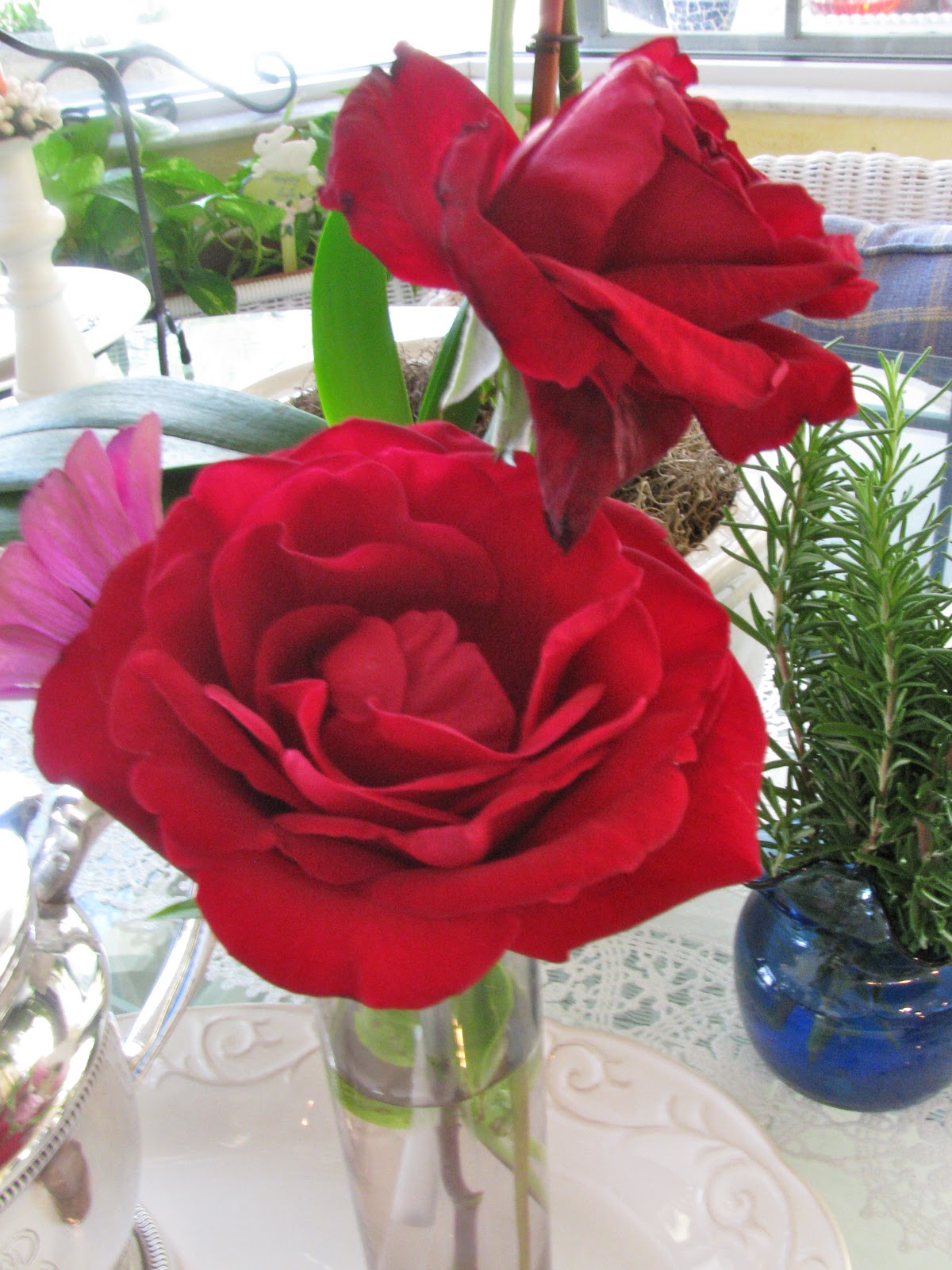 MAY DAYS Cure For Droopy Flowers