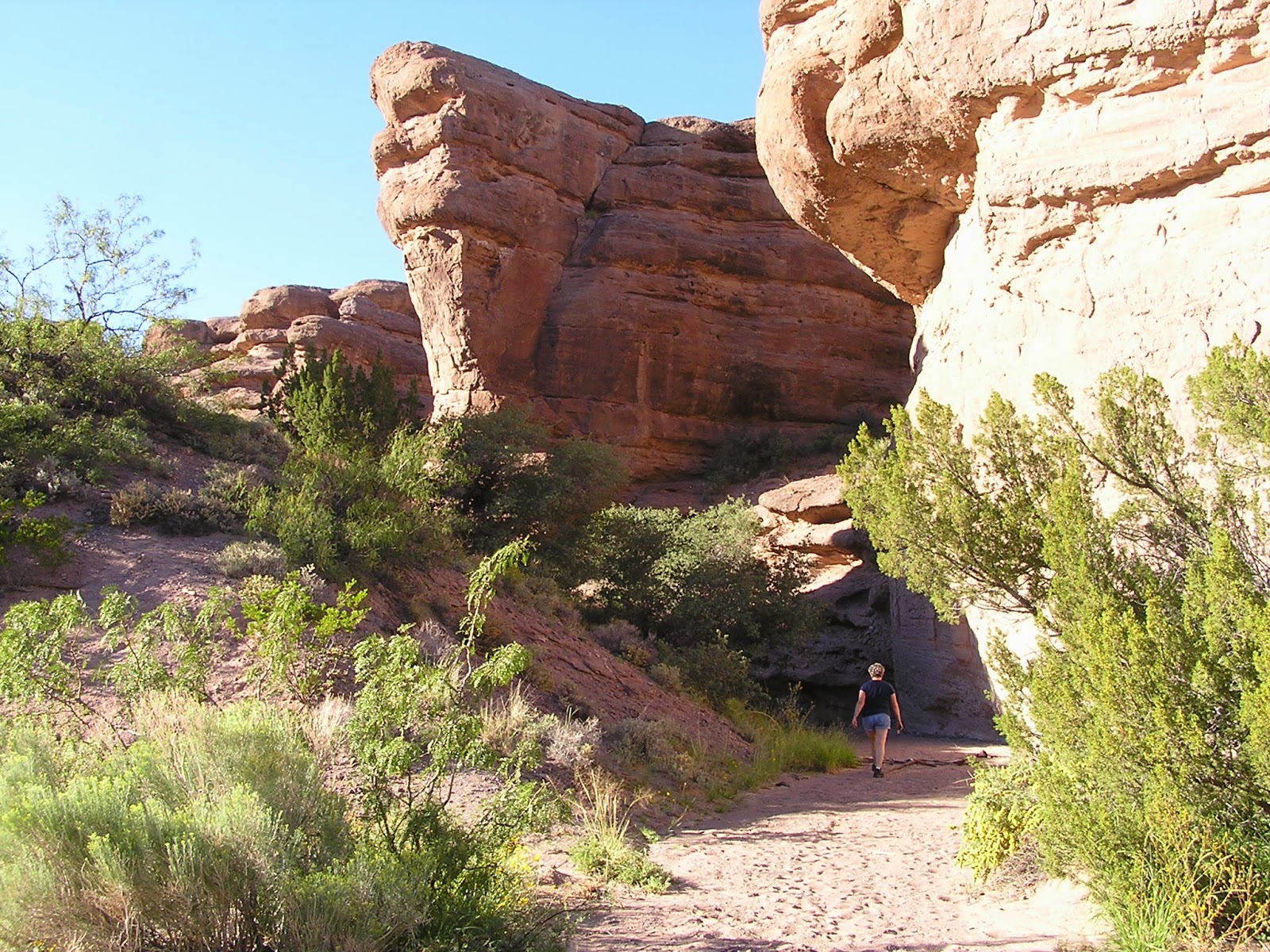 Texas Gypsies Socorro, New Mexico