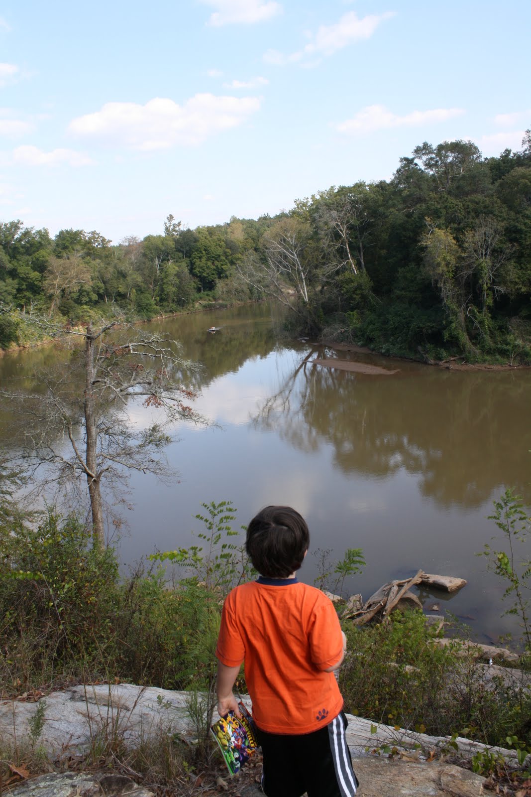 Trail of the Trail McIntosh Reserve The Perfect Springtime Destination