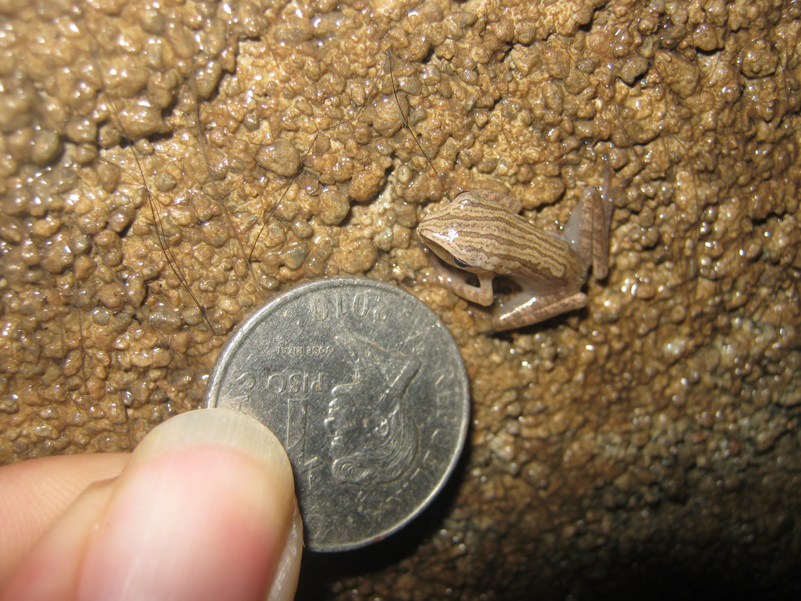 Biz Infomatics: Tourist spots, Events, Foods in the Philippines