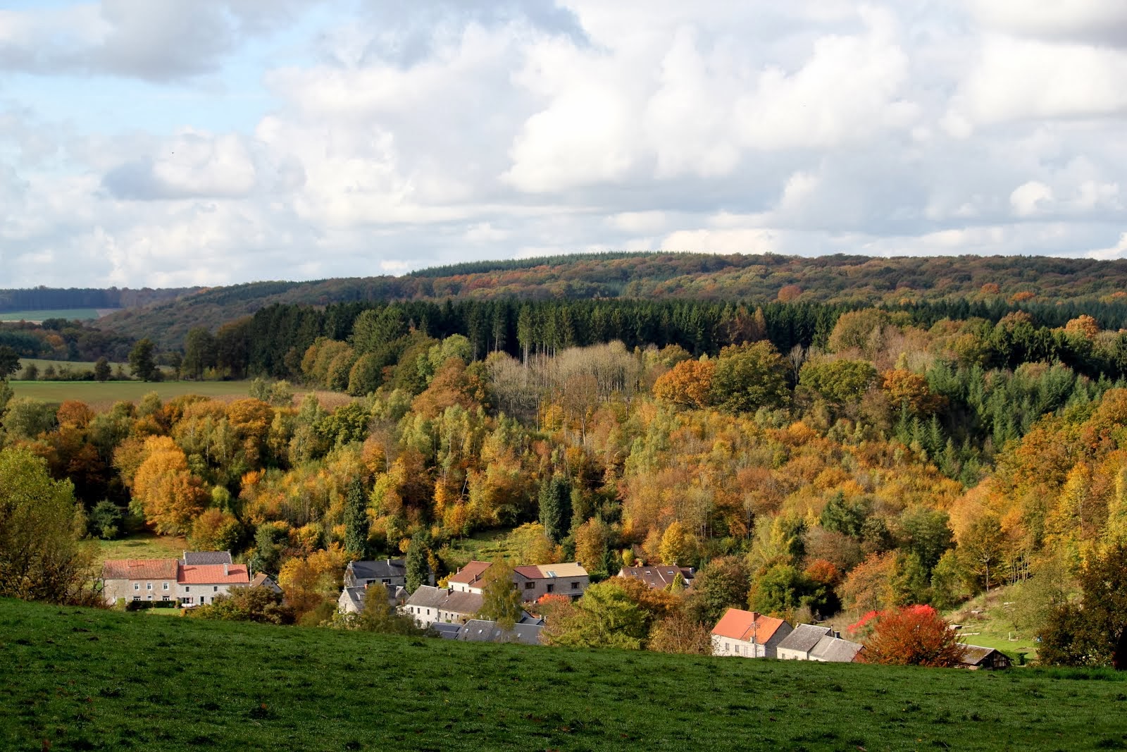 la photo du 25 octobre 2013 (1392)