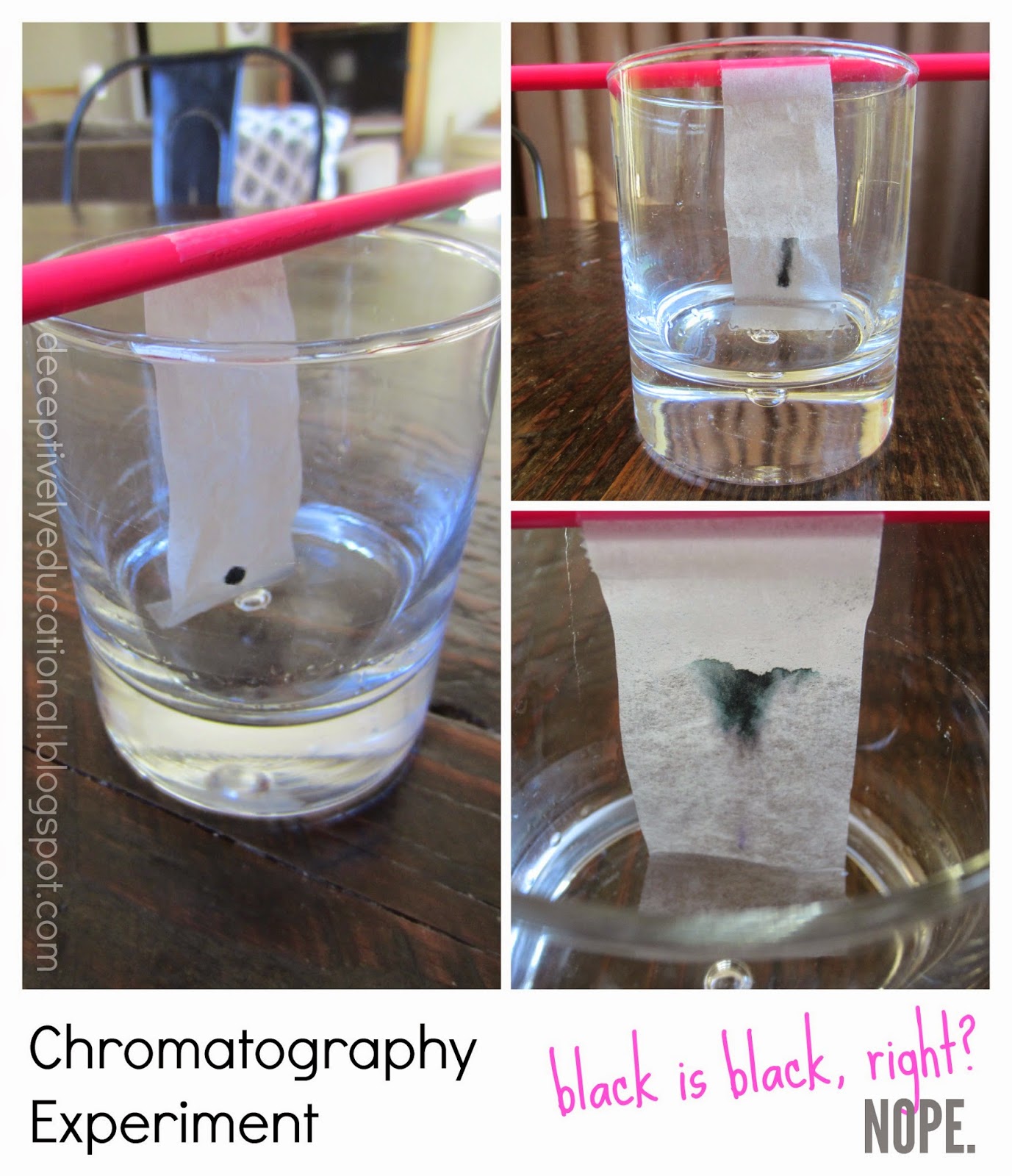 Relentlessly Fun, Deceptively Educational Black is black, right? Nope