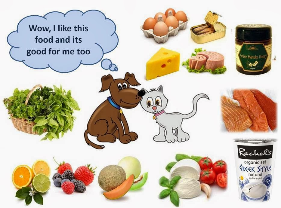Good Food for Dogs, Cats A Guide Ottawa Dog Training