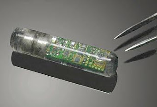 Biochips Biochips