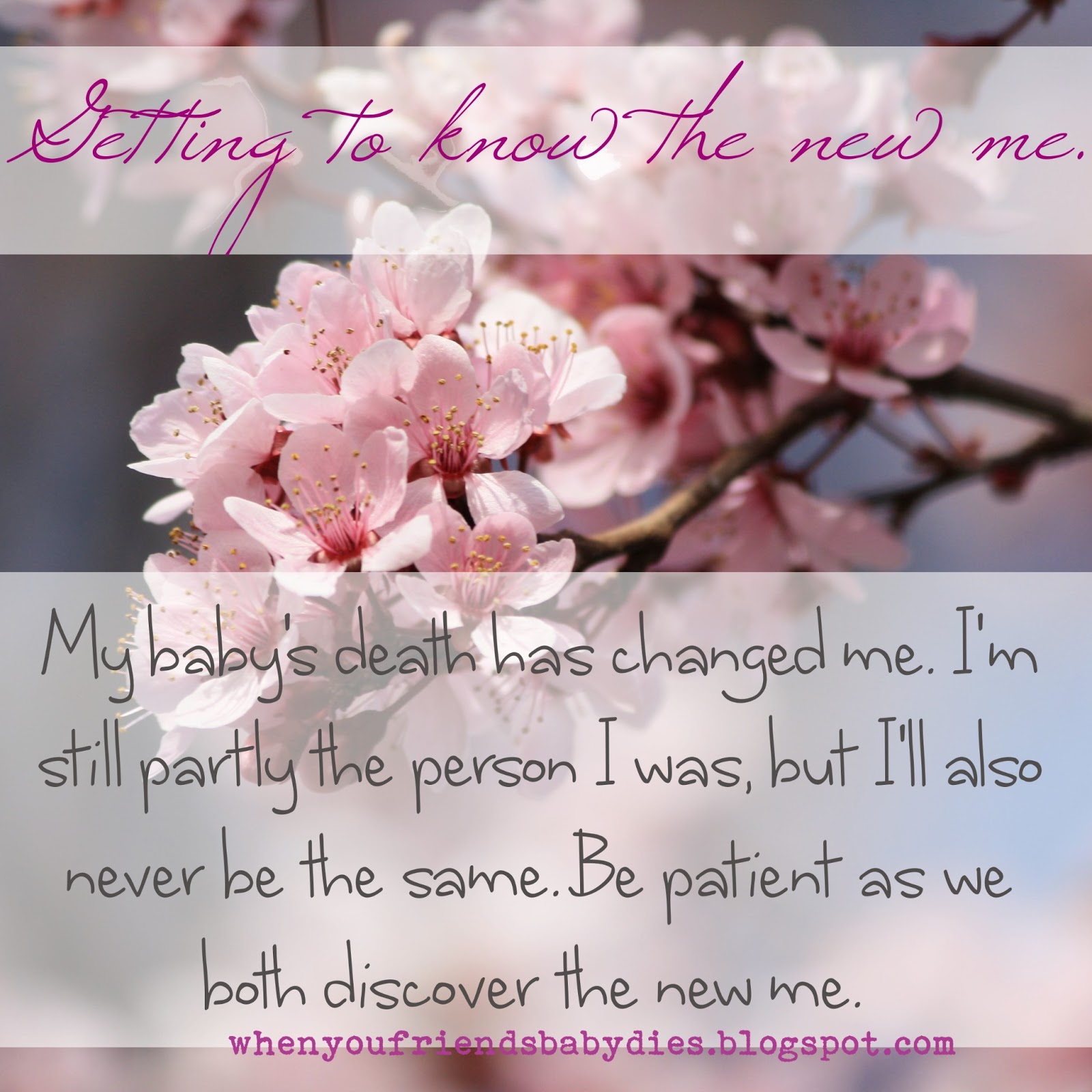 Free Version Download When Your Friend's Baby Dies