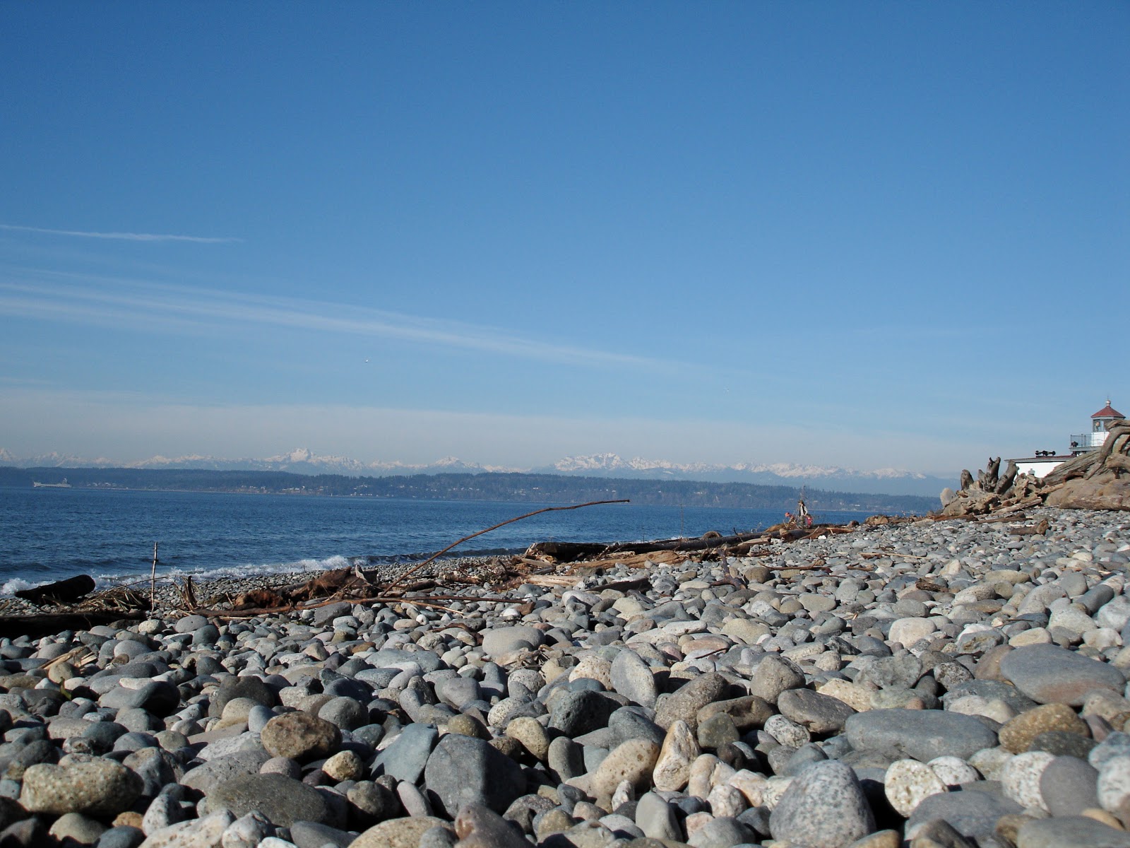 discovery park seattle discovery park seattle