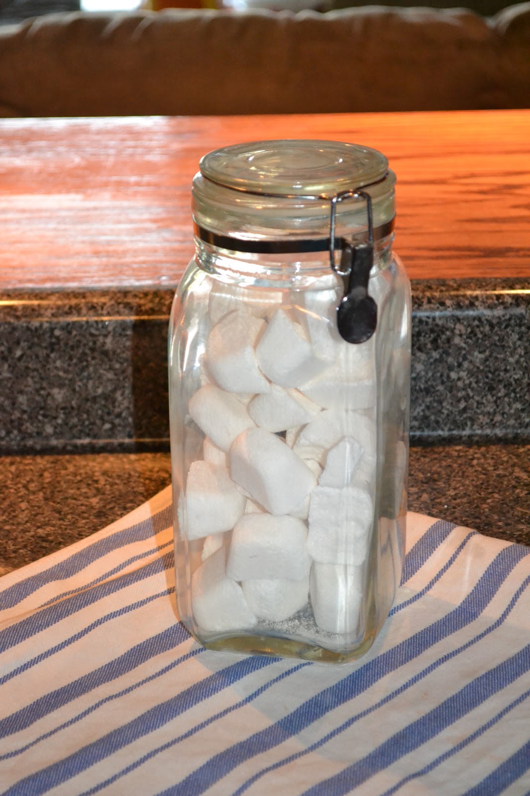 Kitchen Ingenuity Homemade Dishwasher Detergent TABLETS!!