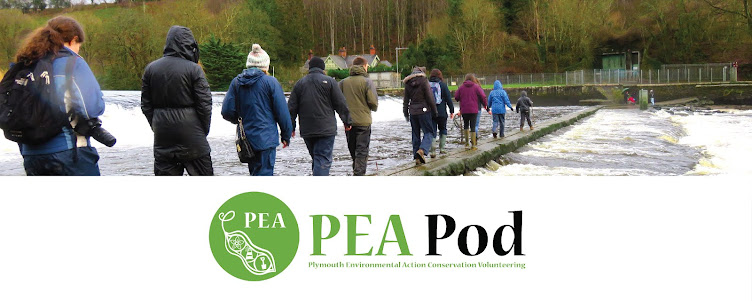 PEA POD-Plymouth Environmental Action Conservation Volunteering.