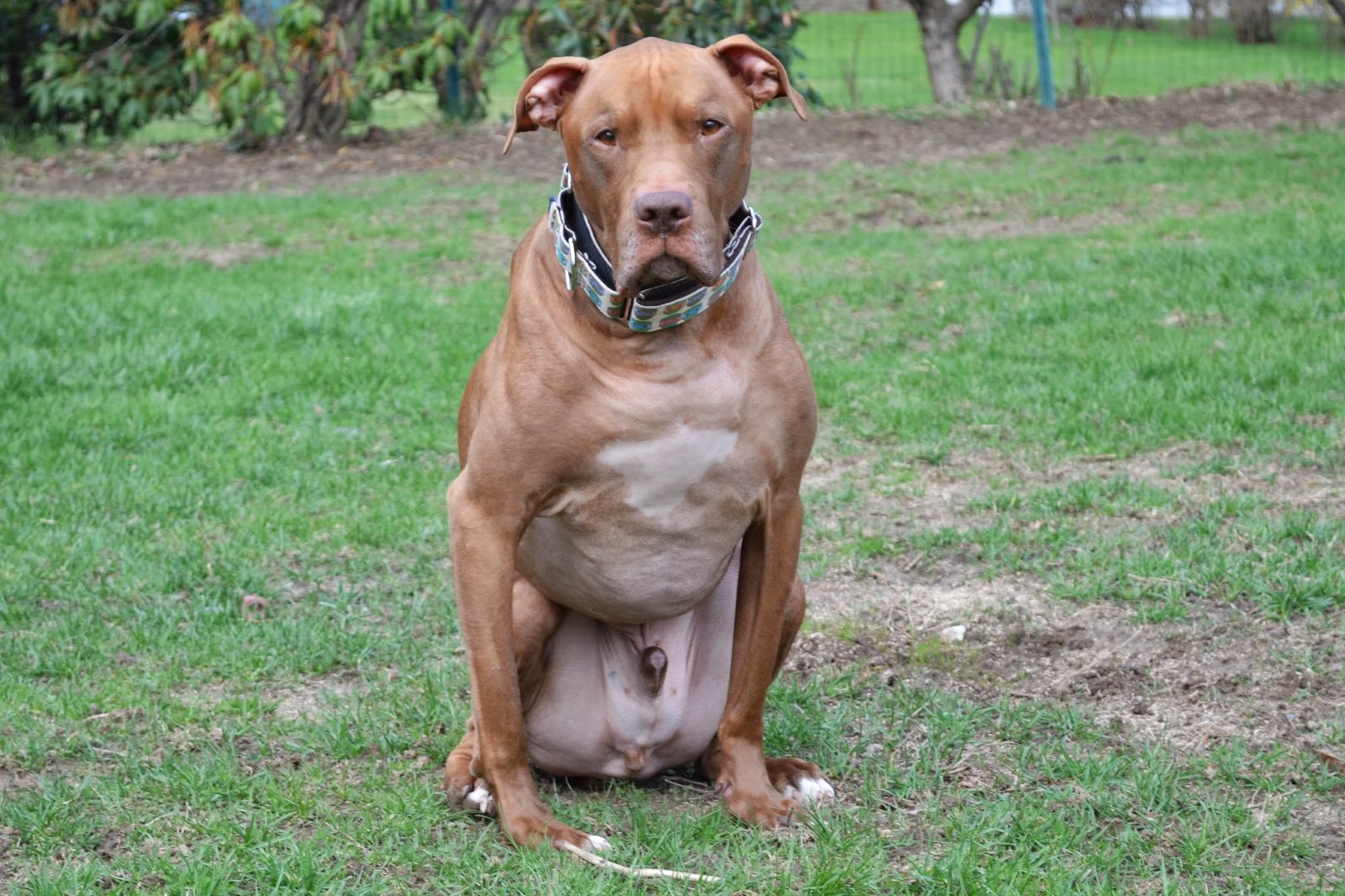 Oh, Corbin A Corbin Health Update!