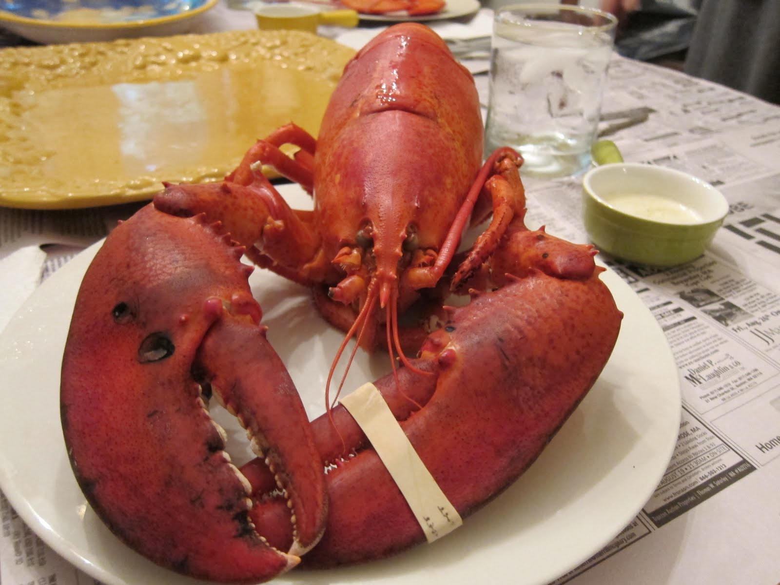 In and Around Town 3 Pound Lobster Dinner at home!