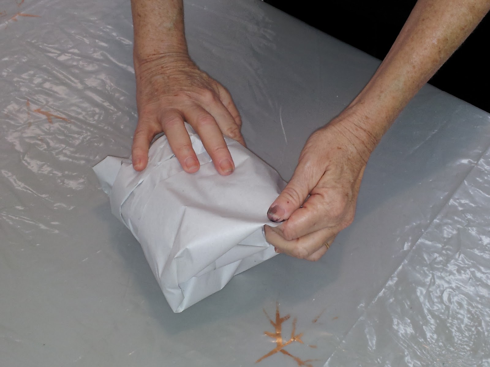 Hellenne Vermillion Art STEAMING YOUR SILK