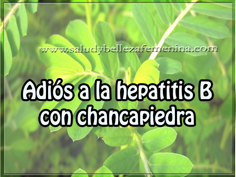 Adiós a la hepatitis B con chancapiedra Salud y bienestar , adiós a la hepatitis B con chancapiedra