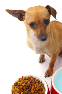 What Is The Best Dog Food What Is The Best Dog Food