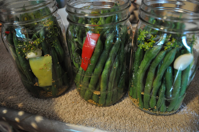 canning, green beans, peppers, salsa, diy, homemade, dilly beans, addicted, recipes, pickled green beans