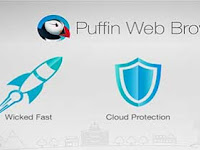 Puffin Browser Pro v4.6.1.2083 Full Apk