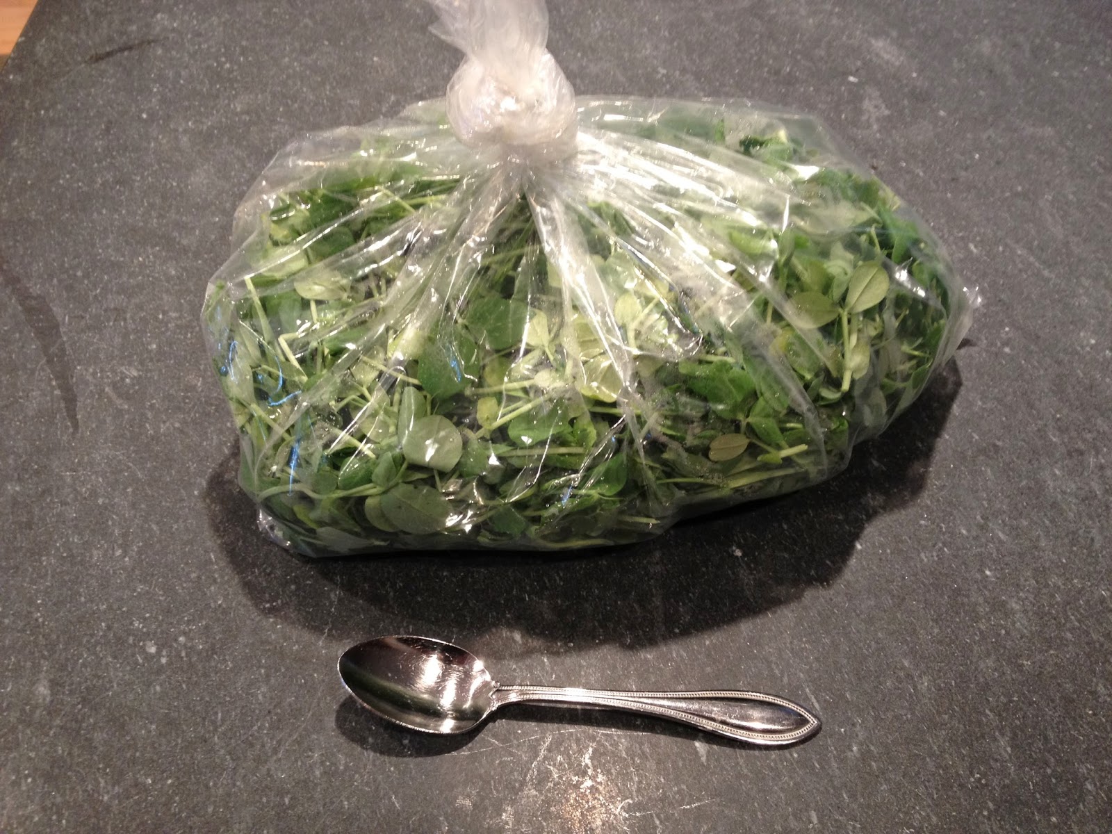 Veggies by the Bushel Pea tendril pesto