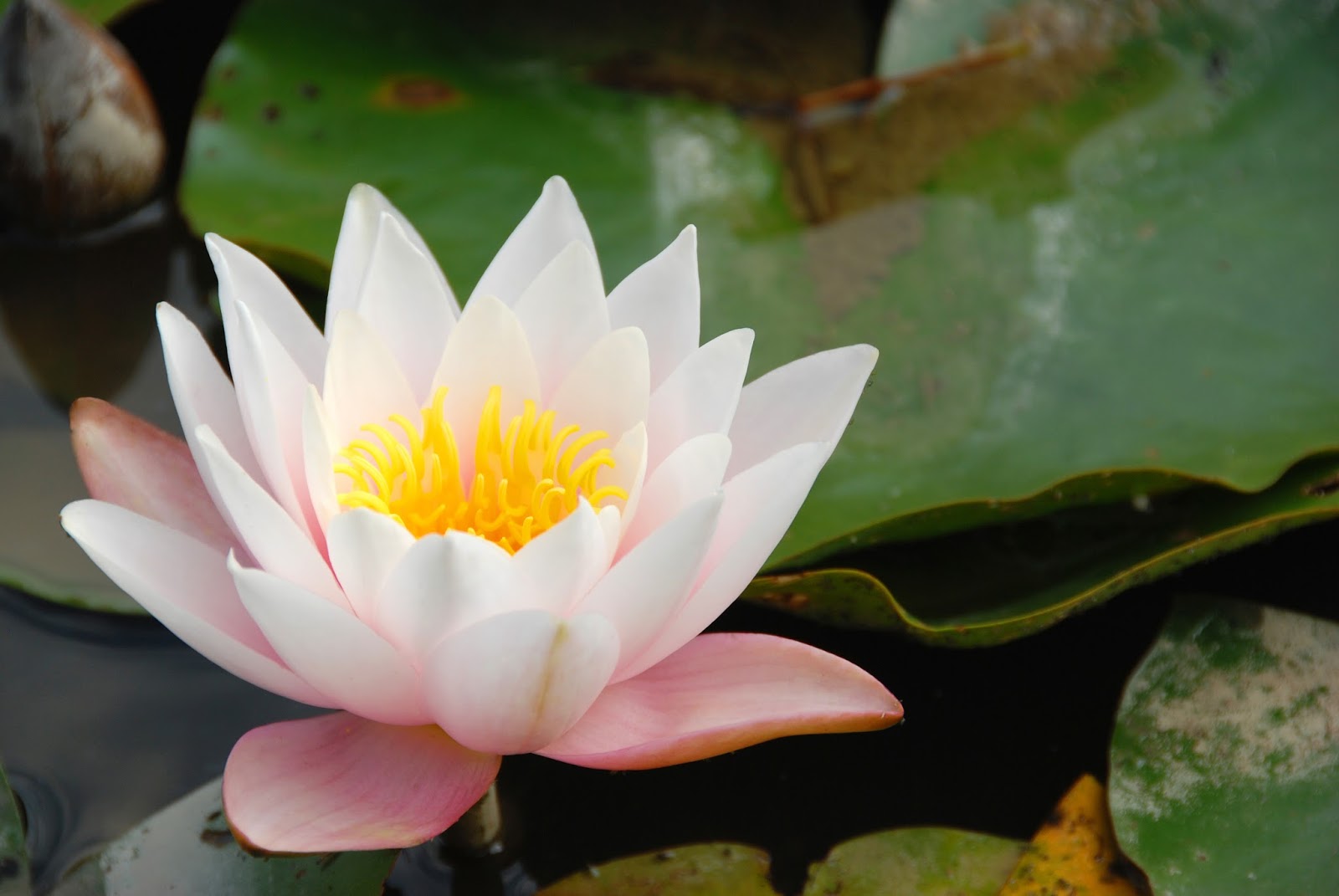 Reiseabenteuerlich Juni 2018