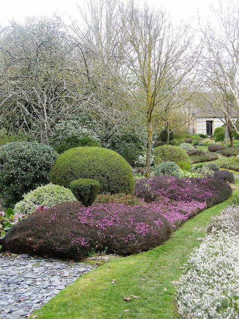Roses Du Jardin Cheneland Photinia Red Robin