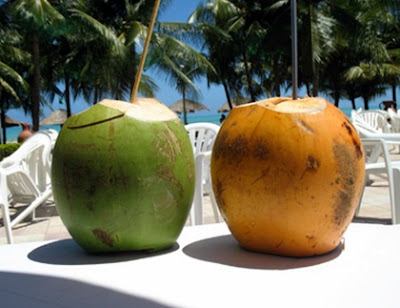 manfaat air kelapa untuk kesehatan