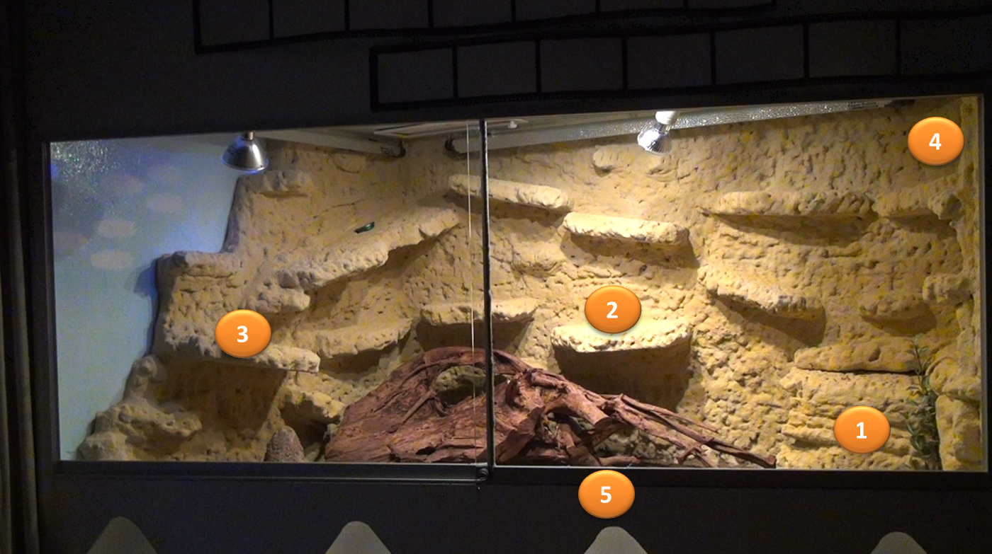 bearded dragon light fixtures Exo Terra Repti-Glo 10.0 Compact Desert Terrarium Lamp bearded dragon light fixtures Exo Terra Repti-Glo 10.0 Compact Desert Terrarium Lamp