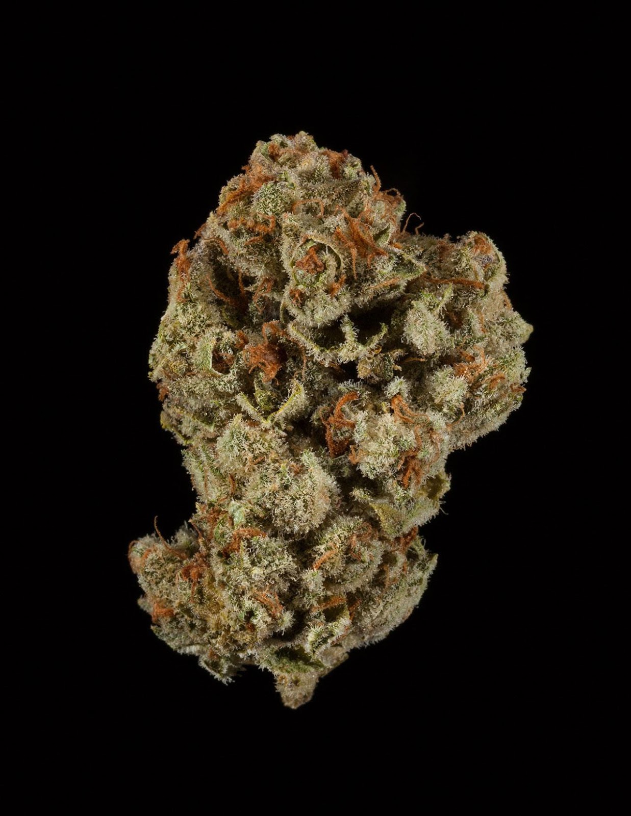 Sage n' Sour Sage n' Sour