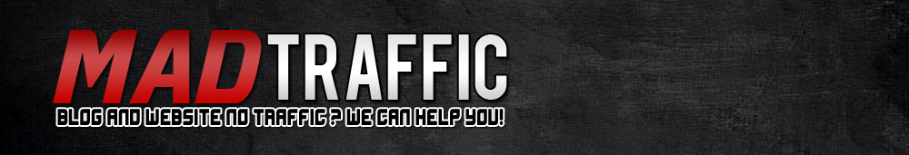 BLOG AND SITE NO TRAFFIC? WE CAN HELP!
