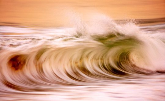 Most Beautiful Photos Sea Life