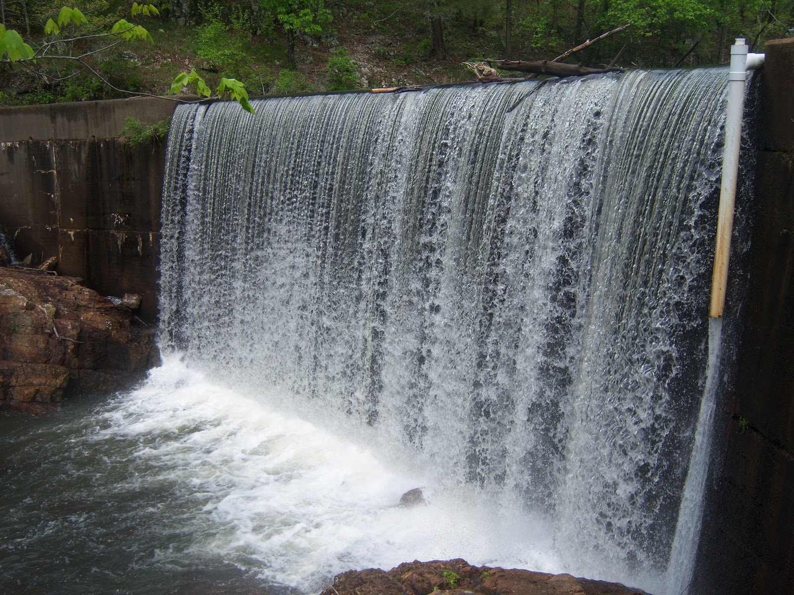 Chicagoland Greenery Shady Lake in Ouachita National Forest, Arkansas