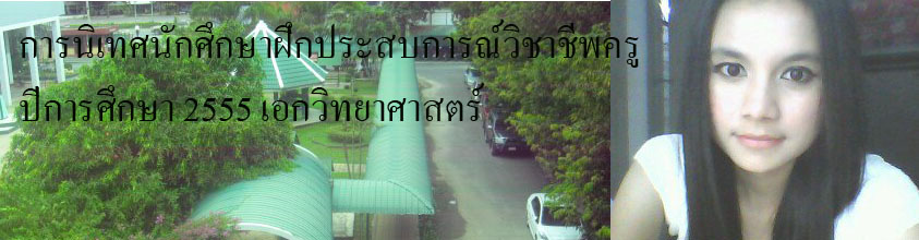  การนิเทศนักศึกษาฝึกประสบการณ์ปีการศึกษา 2555