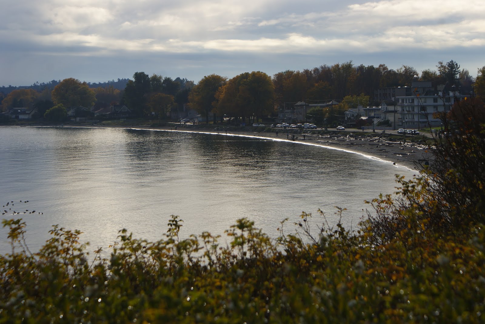 Victoria Daily Photo Willows Beach