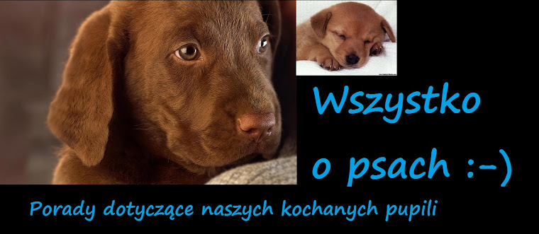 Wszystko o psach :-)