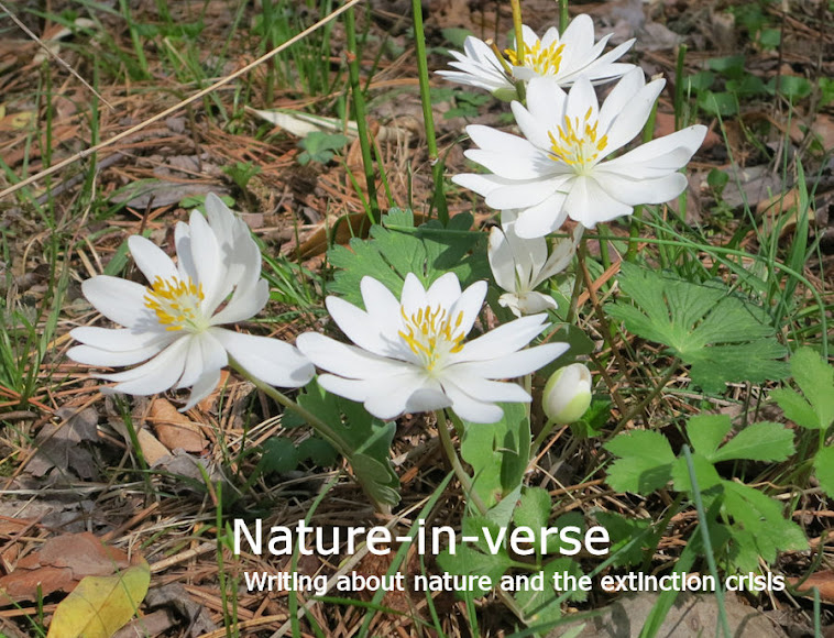 Nature-in-verse