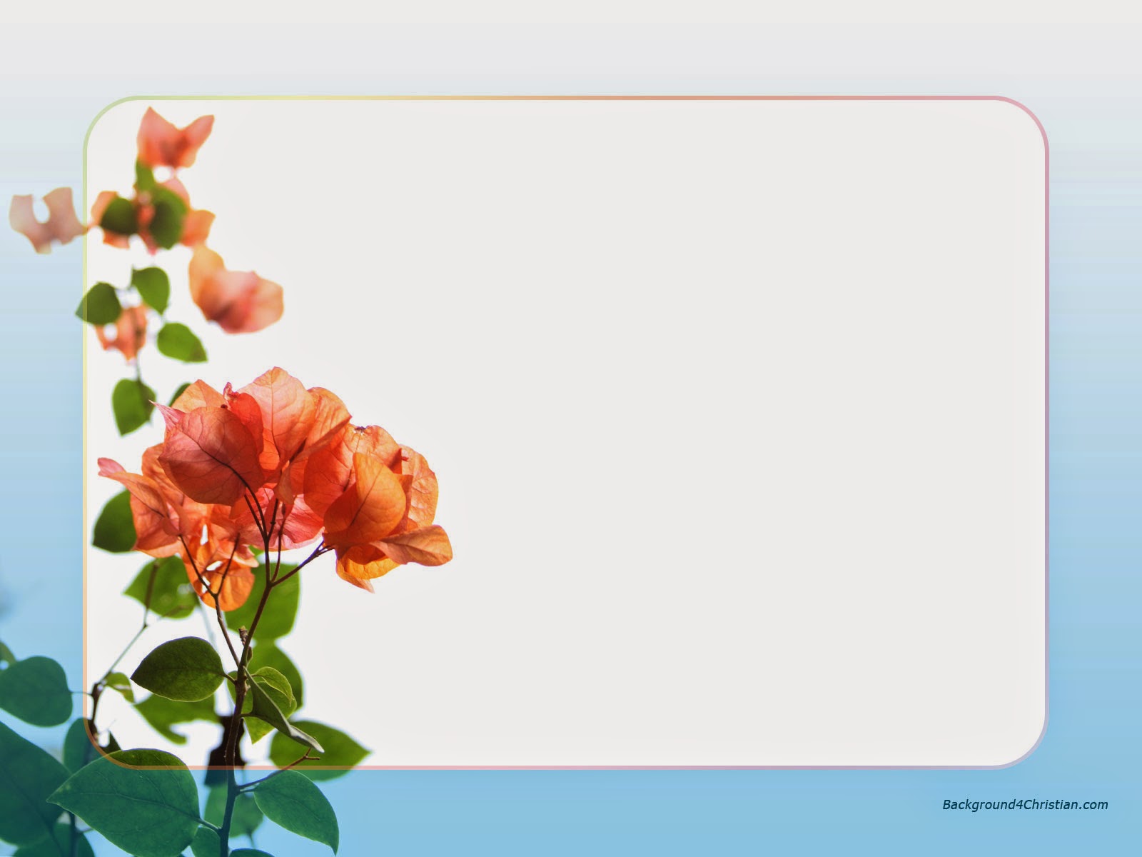 flower border wallpaper flower wallpaper border hd wallpapers flower border wallpaper flower wallpaper border hd wallpapers