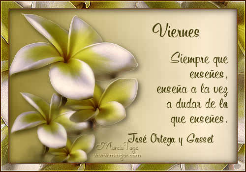 Resultado de imagen para glitter y movimiento para grupos gabitos juwvws y abrazos