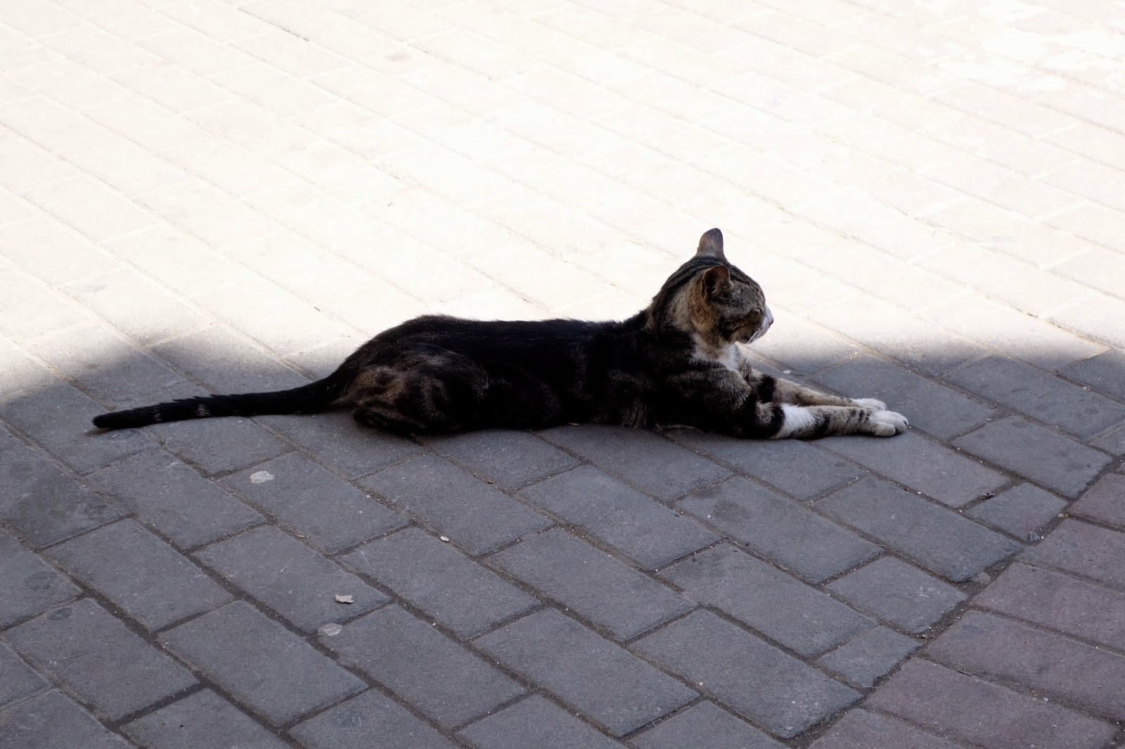 video de cul dans la rue