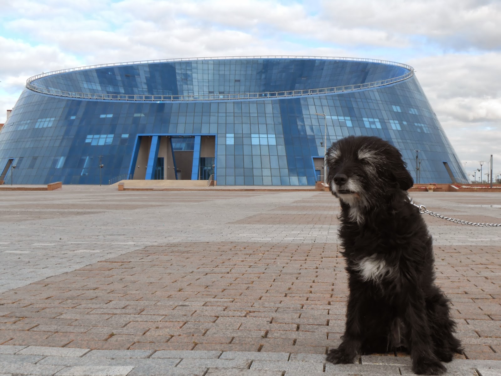 Astana Dog Bowl