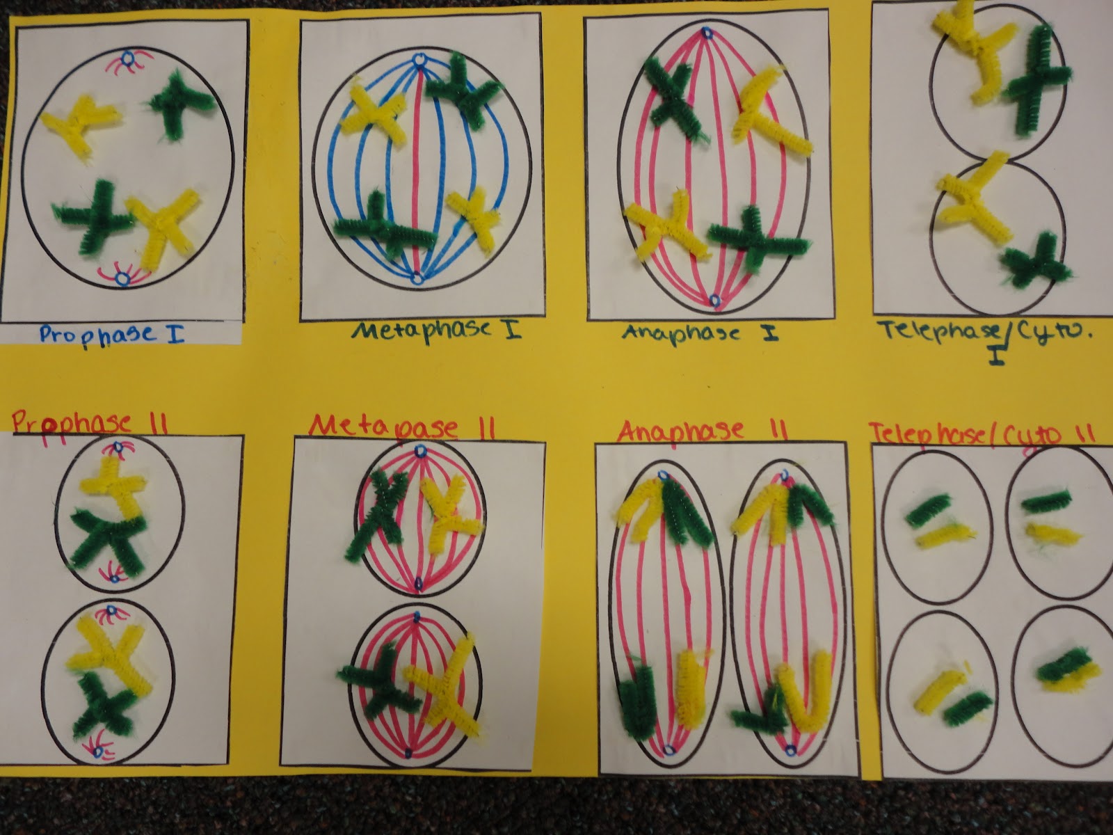 Creative Happiness I'm Still Here