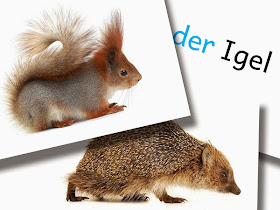 DaZ Material Tiere Bildkarten zur Sprachförderung kostenlos