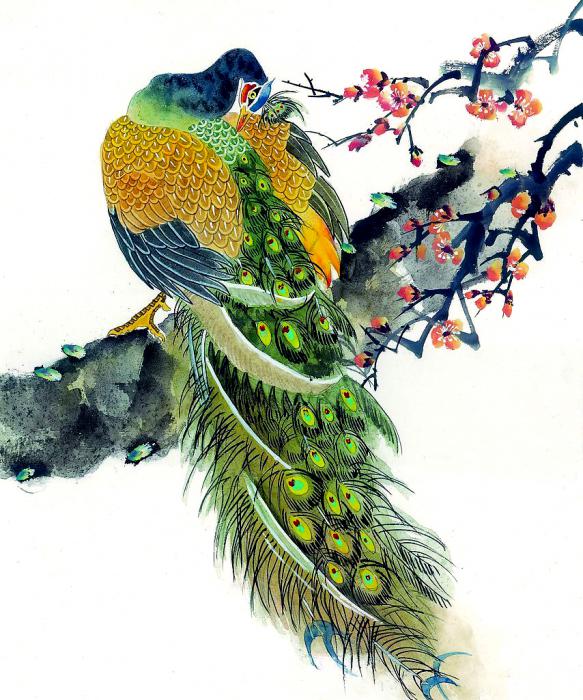 Beautiful Peacock Paintings Trawel India Mails