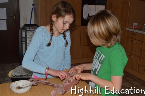 Highhill Homeschool: Human Body - Week 9 - Digestive System Activity