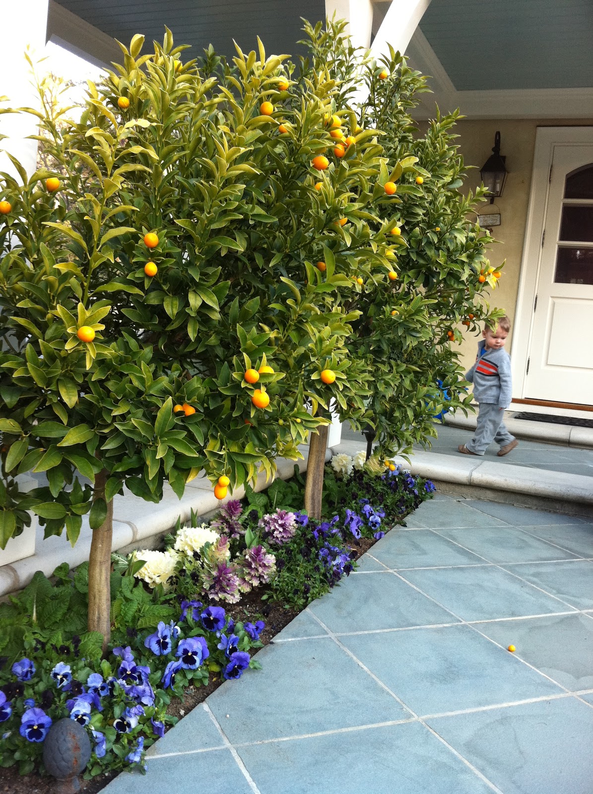 Return To Home Winter Garden in Northern California