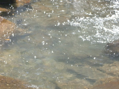 Water and Stone