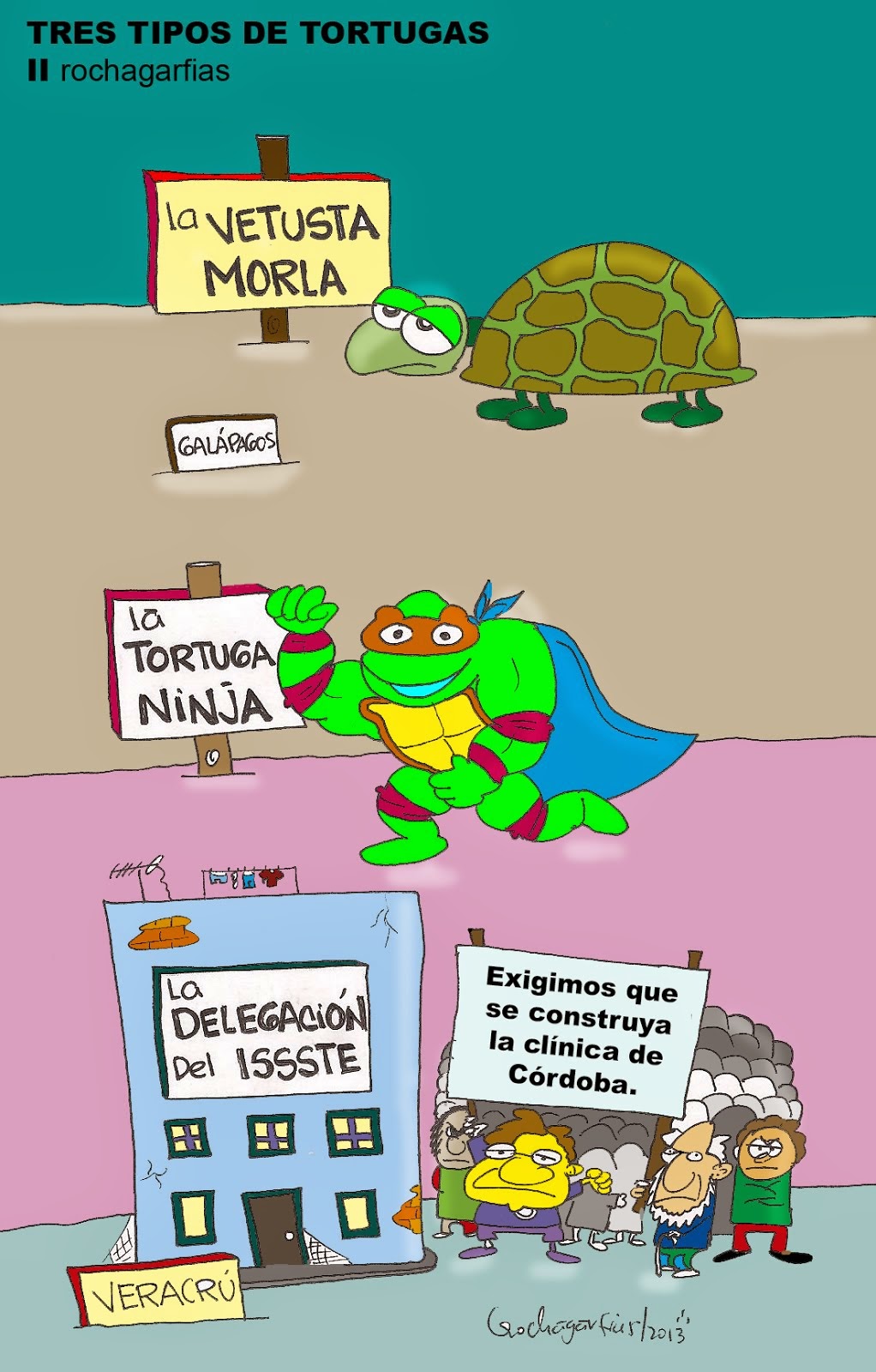 Tres tipos de tortugas.