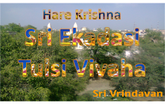 Hare Krishna